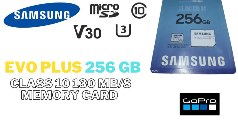 SAMSUNG Evo Plus 256 GB (1)