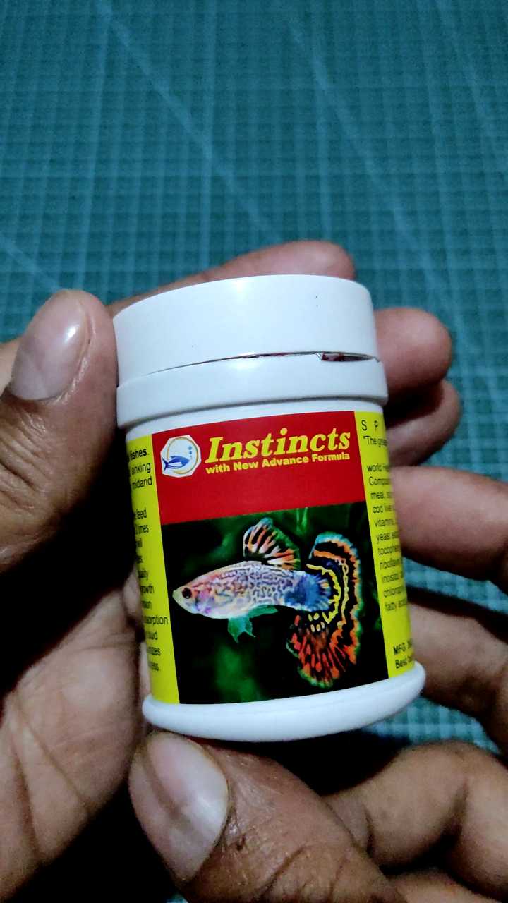 Instinct|Fish Food|Small Fish Food|Guppies|Tetras|Molies|Angels|Gouramis|Platies|Food for Fish Fry|Small Aquarium Fish|Guppies Fry|Amazon|Whats In Box