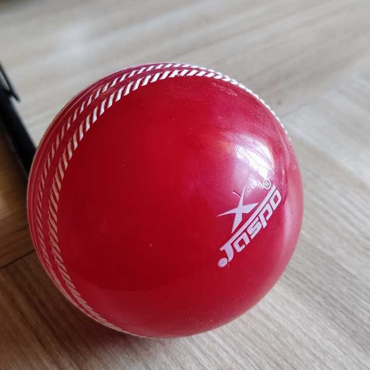 Jaspo T20 Red Soft Cricket Ball 110 Gm PVC Cricket Ball Cricket Training Ball Children Kids Training Ball Finger Position Coaching Jaspo Amazon Whats In Box
